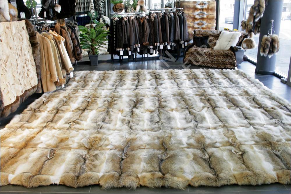 1-367-fellteppich-kojote Exklusiver Fellteppich aus Kojoten