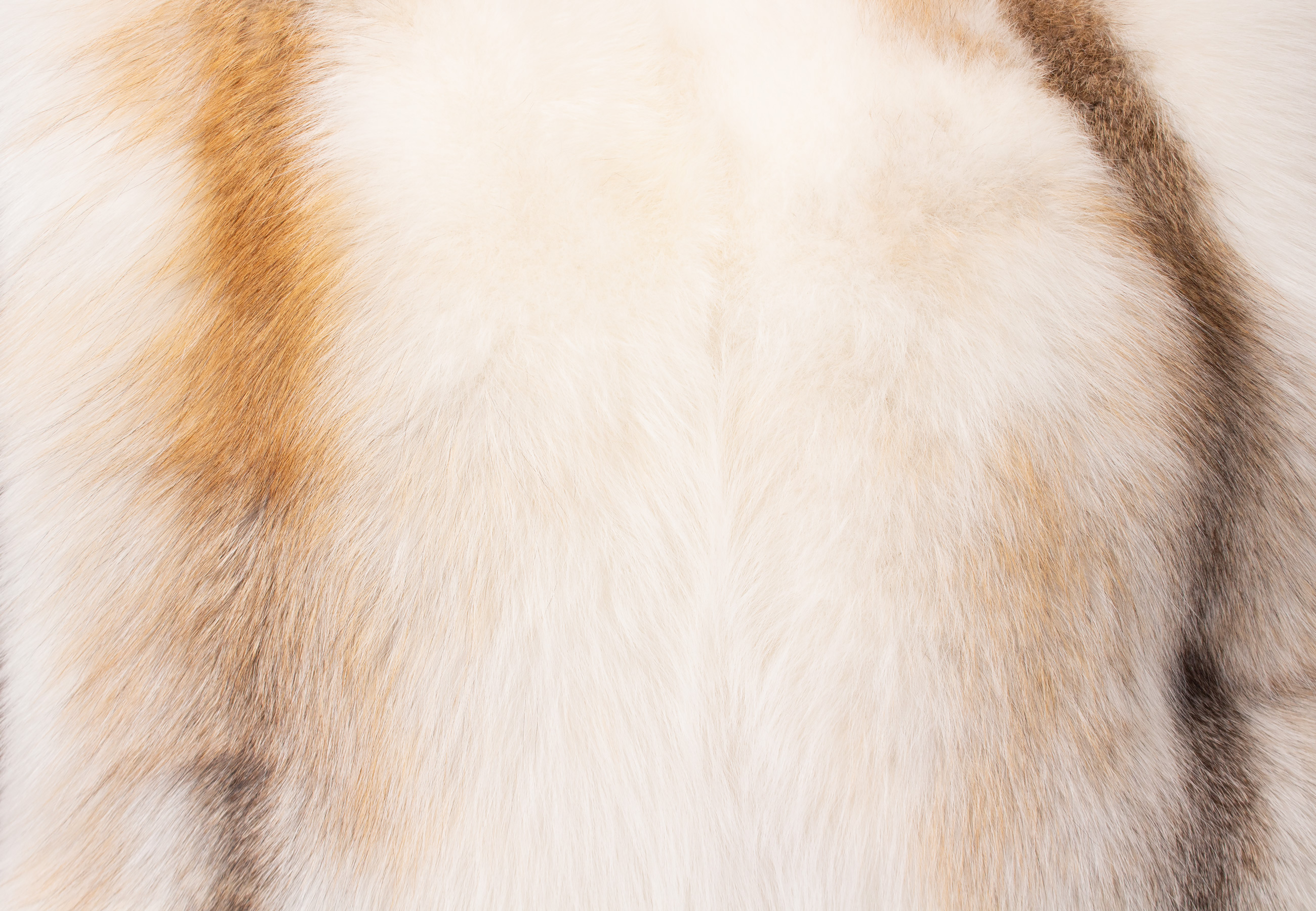 Edles Sun Glo Pelzkissen Edles Sun Glo Pelzkissen