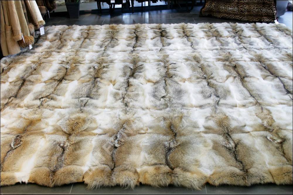 2-367-fellteppich-kojote Exklusiver Fellteppich aus Kojoten