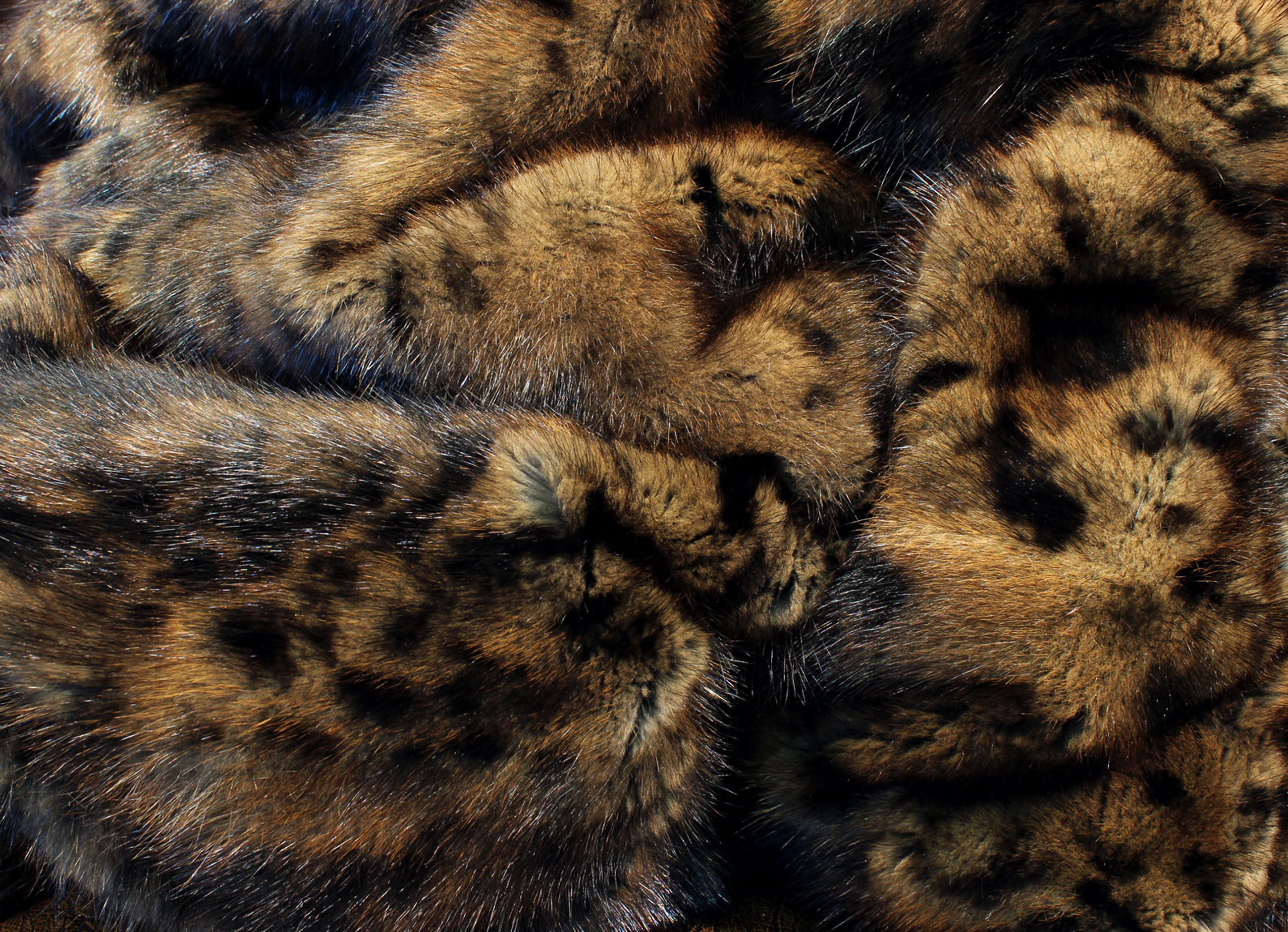 Bisam-Peldecke-Katzenprint-leoprint-7 Bisam Pelzdecke mit Leoprint