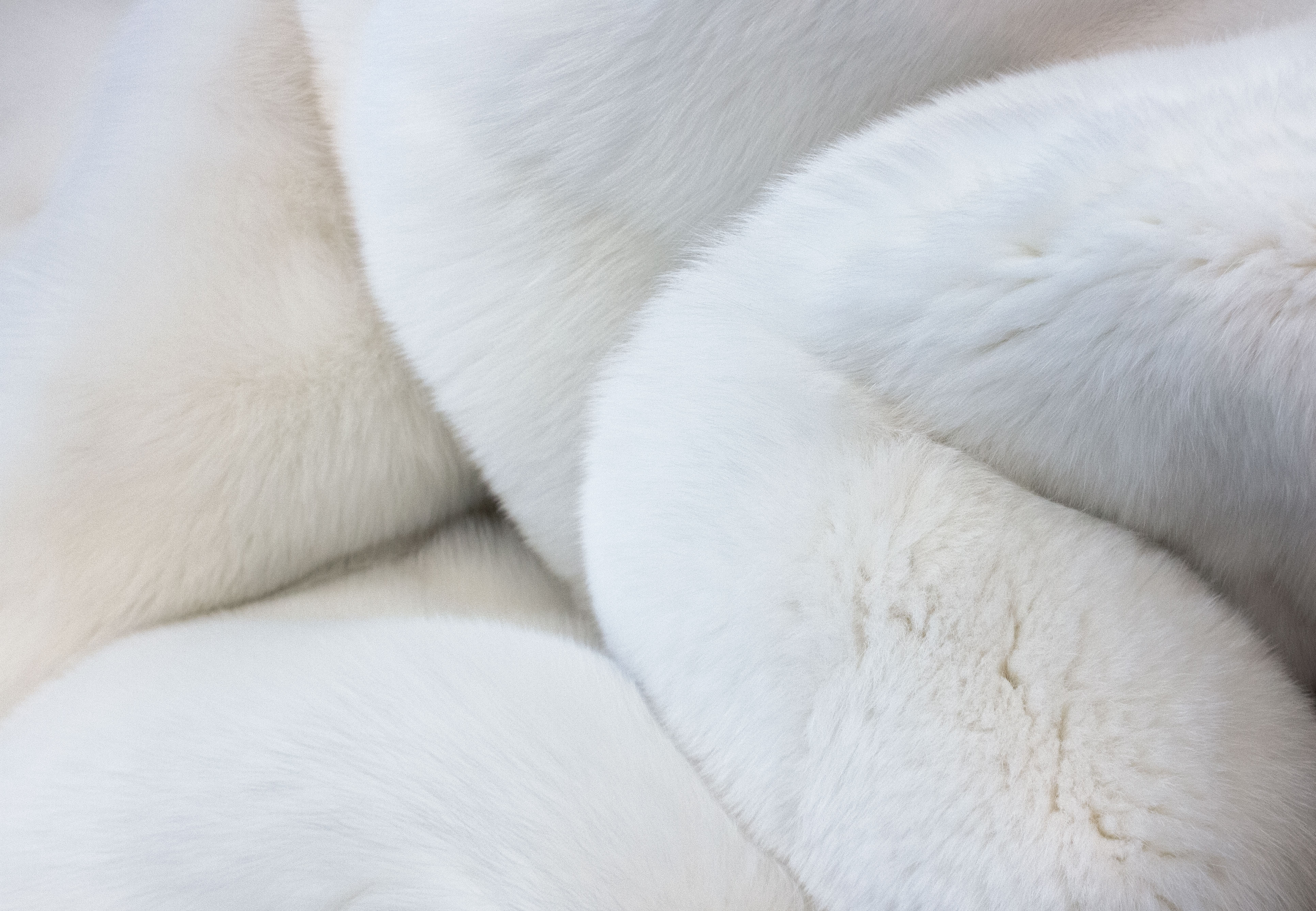 13-7017-Kojotenfelldecke-Shadow-Fuchs-Innenab-tterung-Kaschmir Kojoten-Shadow-Fuchs Schlafsack Inlet