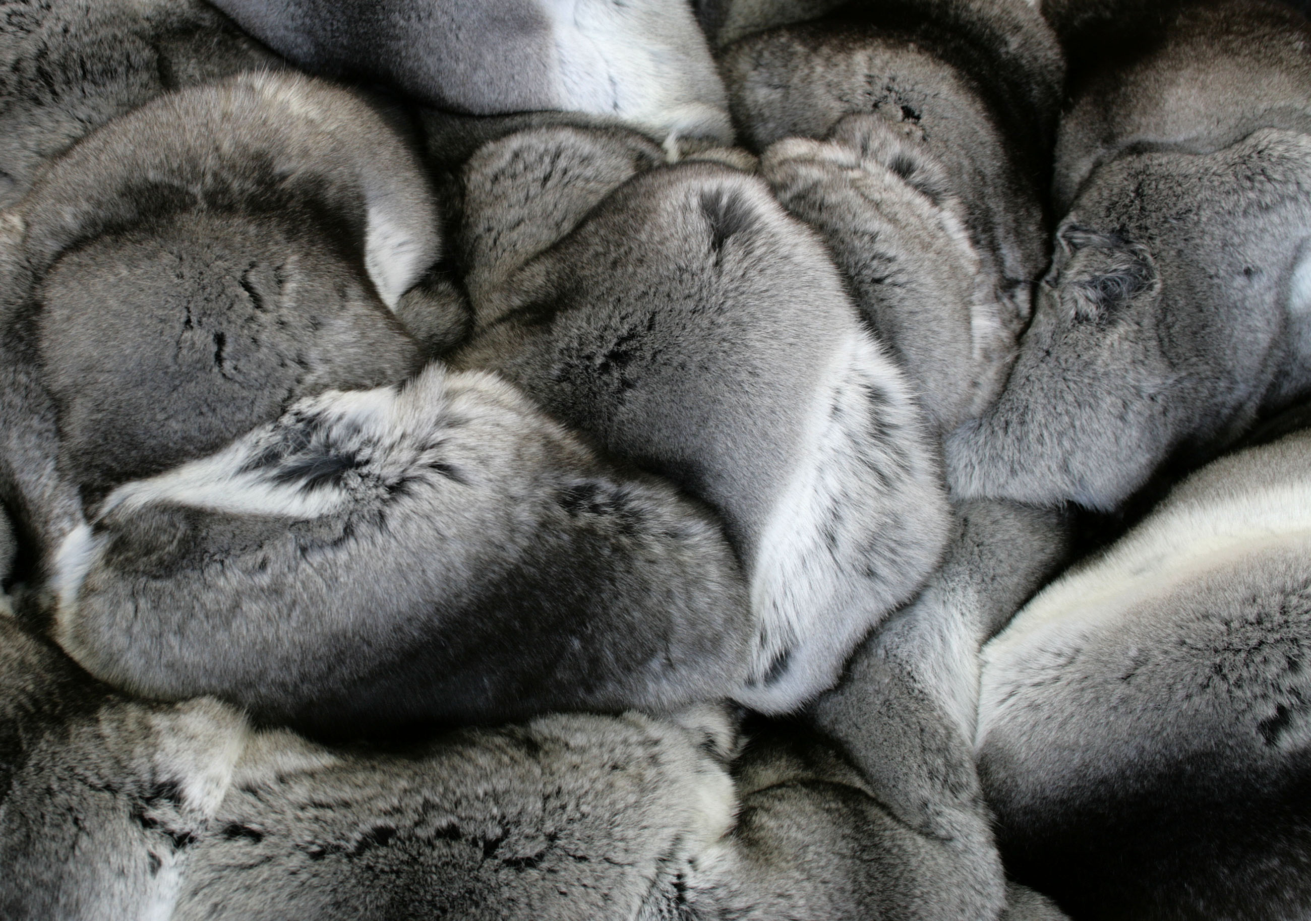 chinchilla-pelzdecke-stoffrand-silber-schwarz-weiss-6 Chinchilla Pelzdecke mit Tiroler Loden Rand