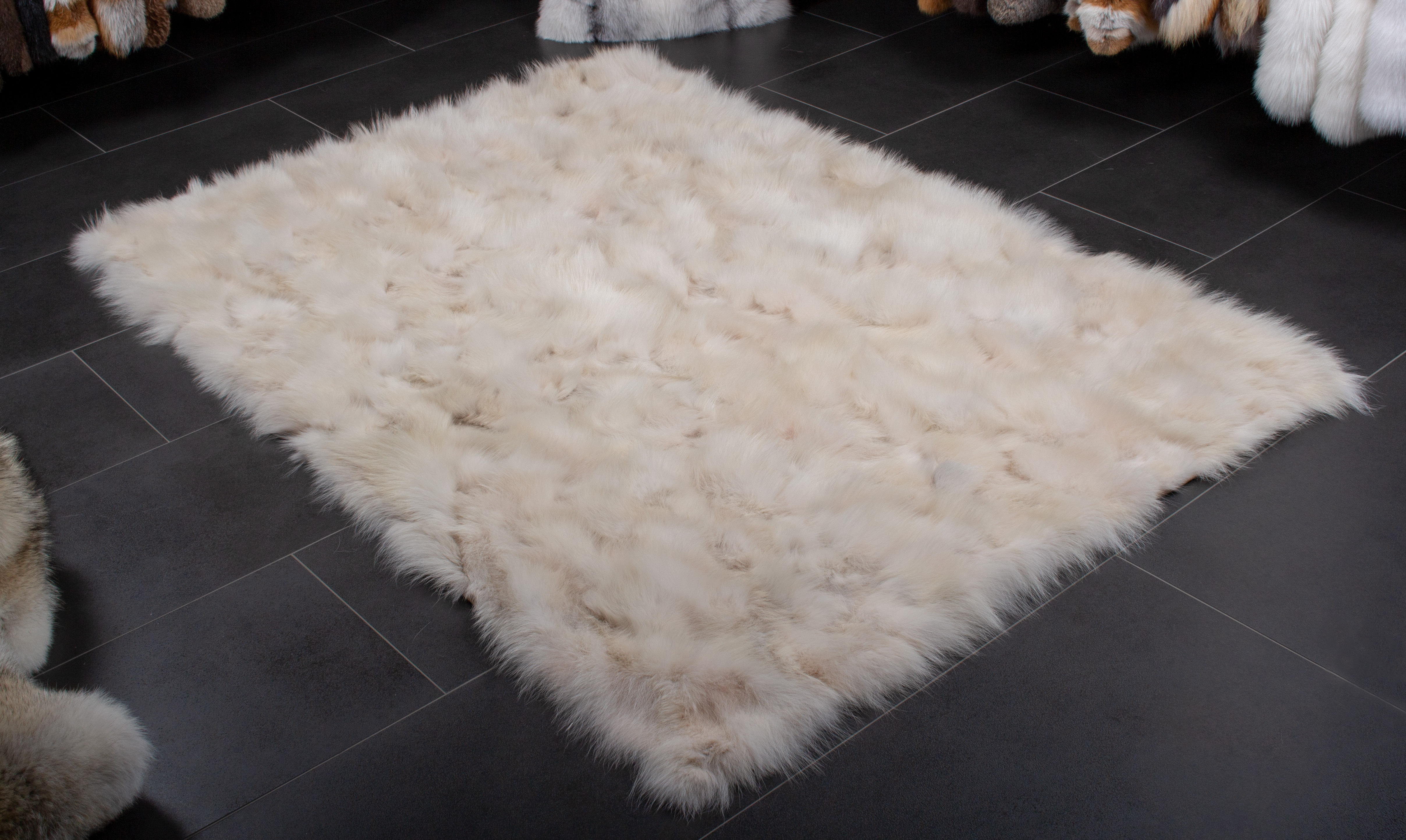 1-4040-Canadian-Coyote-Fur-Rug-Wild-Fur Kanadischer Kojoten Seiten Fellteppich