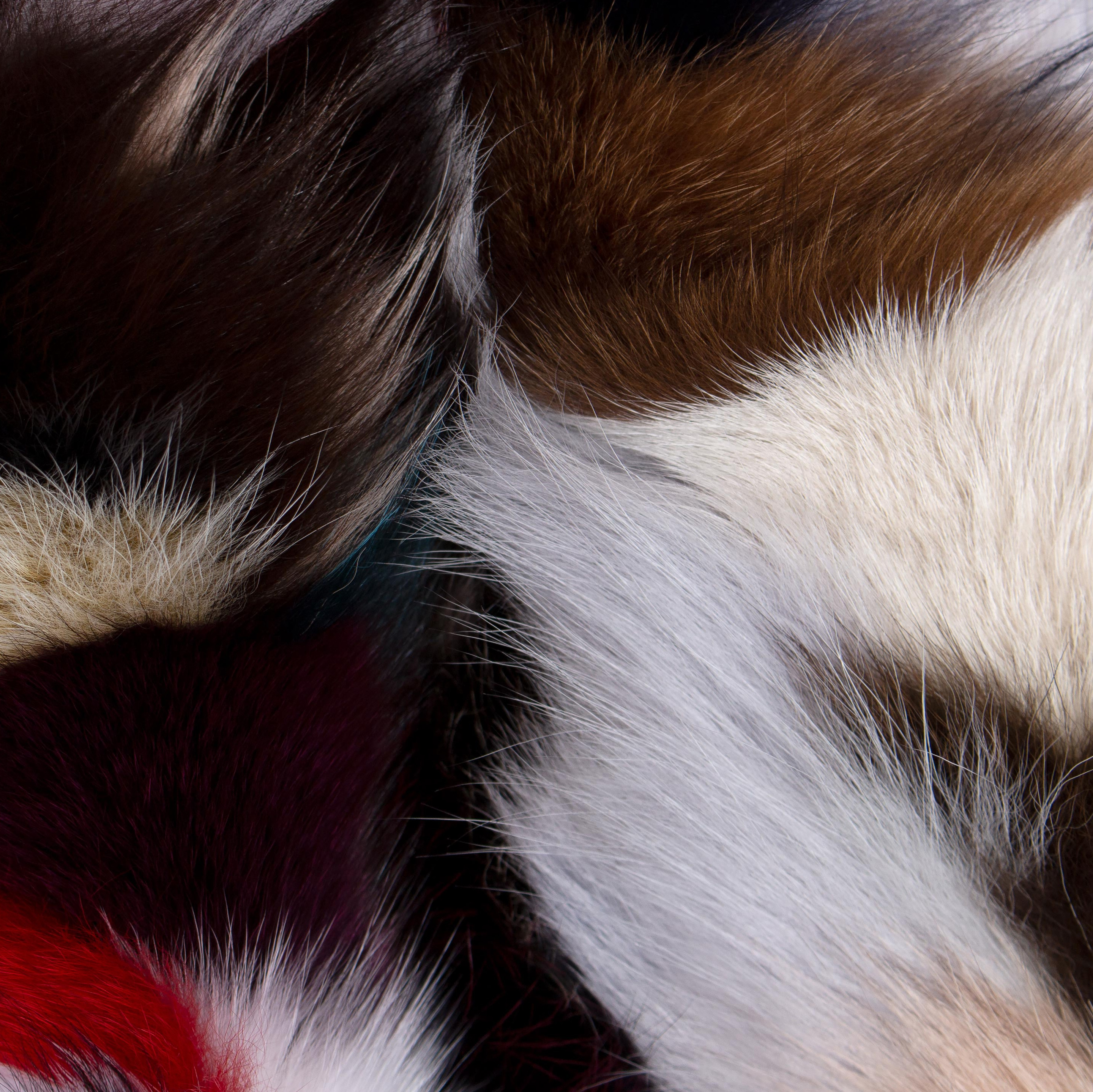 Kategoriebild-Sonstige-500x500 Kategoriebild-Sonstige-500x500