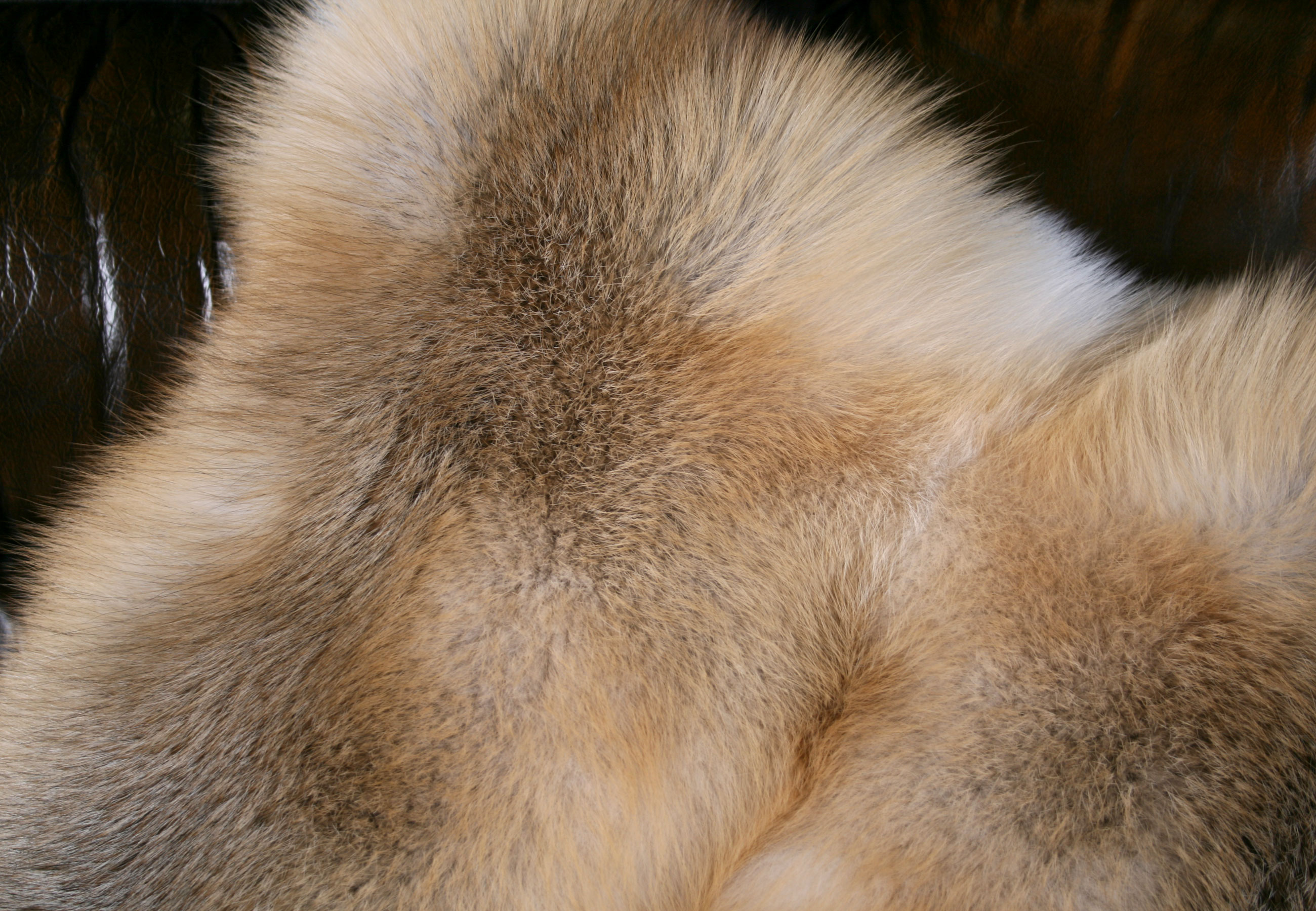 Pelzkissen Fellkissen Golden Island Fuchs - SAGA