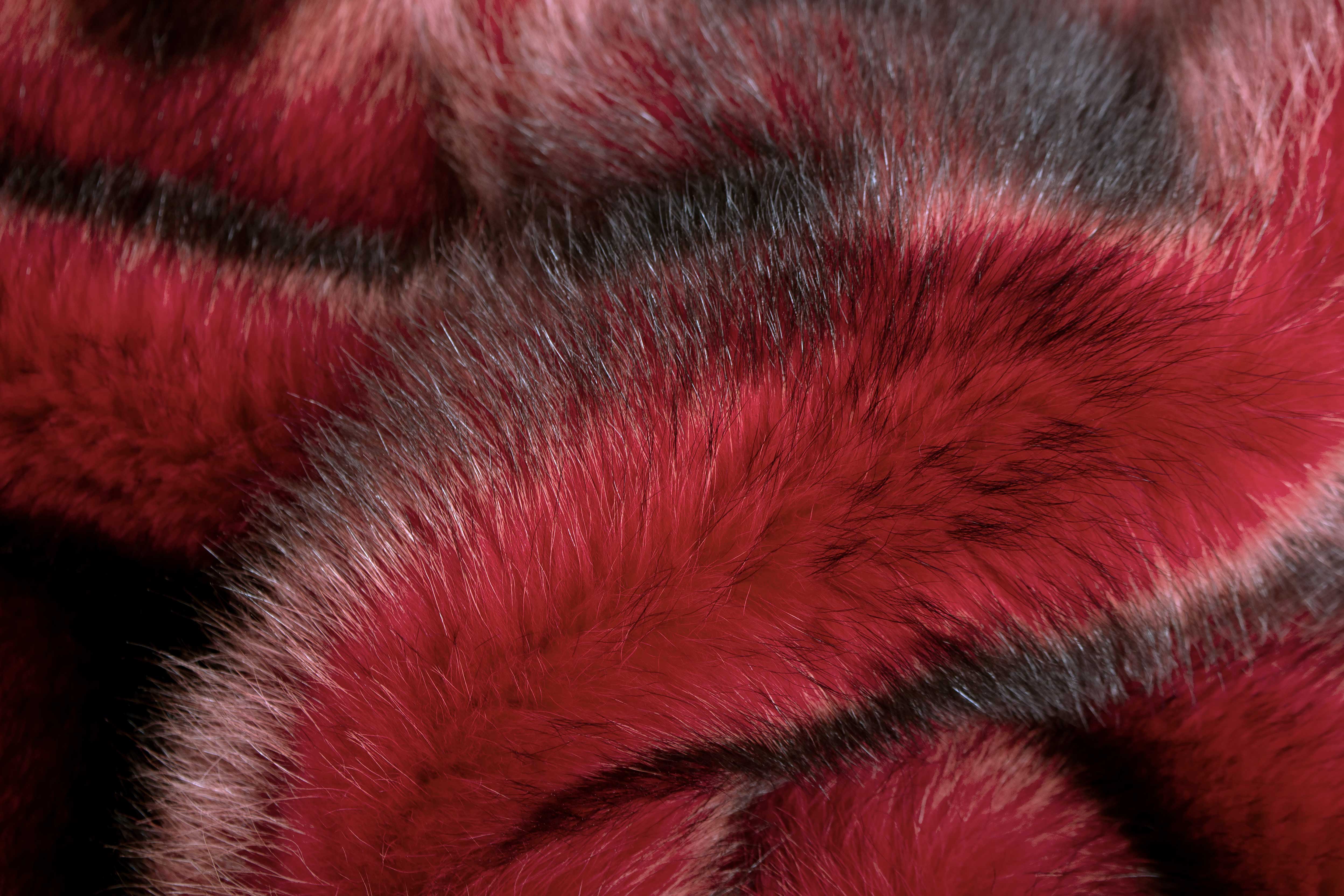 Kanadischer Waschbär Fellteppich in Rot - Wildware
