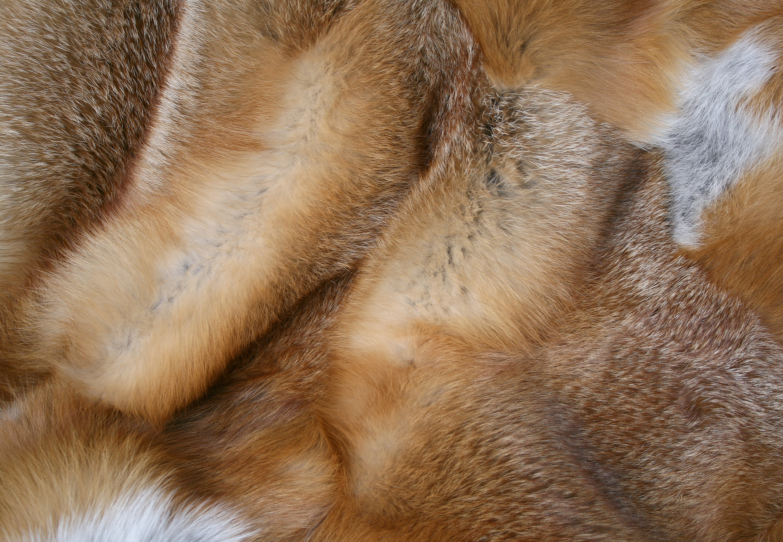 Kanadische Rotfuchs Pelzdecke naturell (Fur Harvesters)