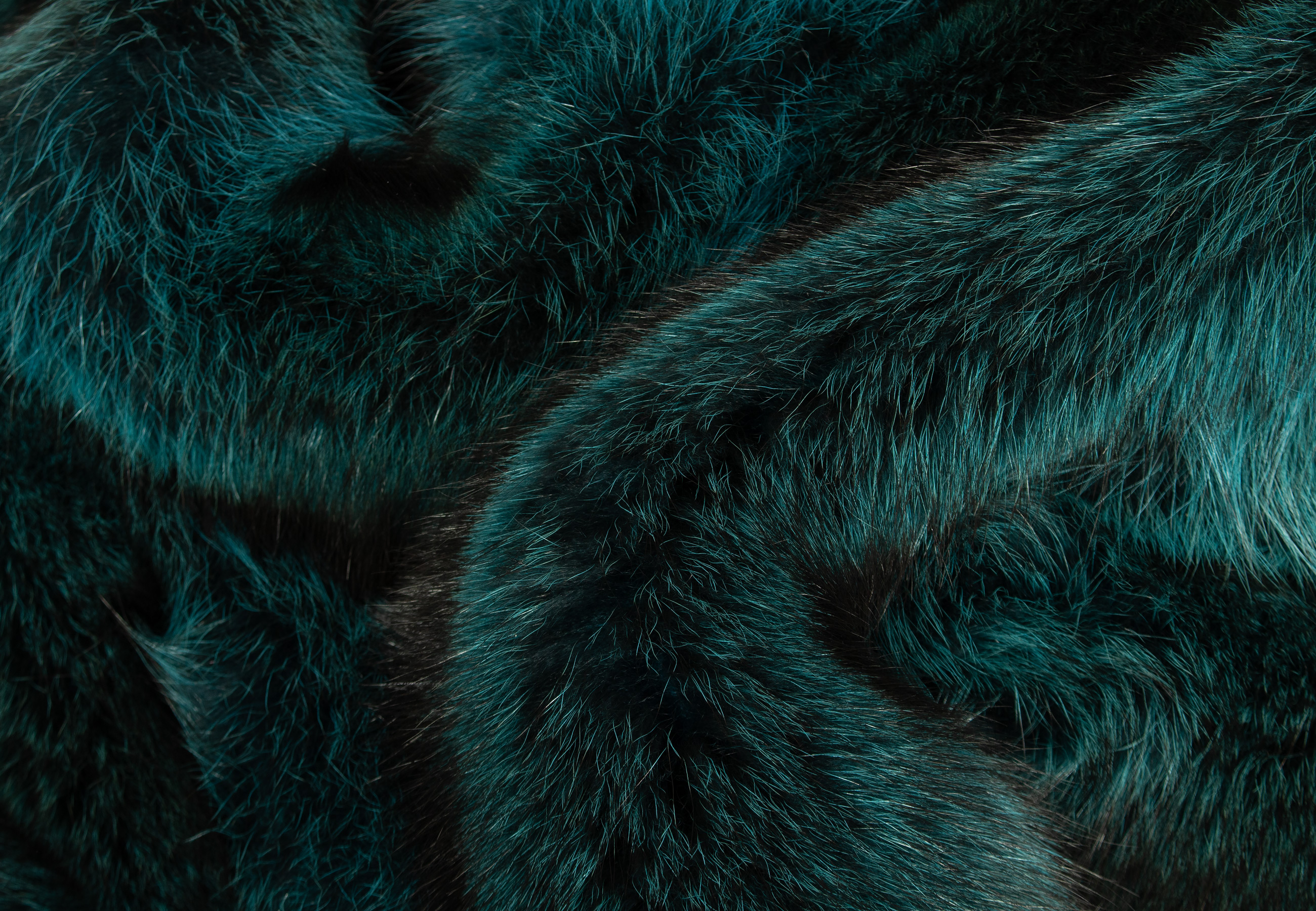 Besondere Waschbär Felldecke in Türkis Besondere Waschbär Felldecke in Türkis