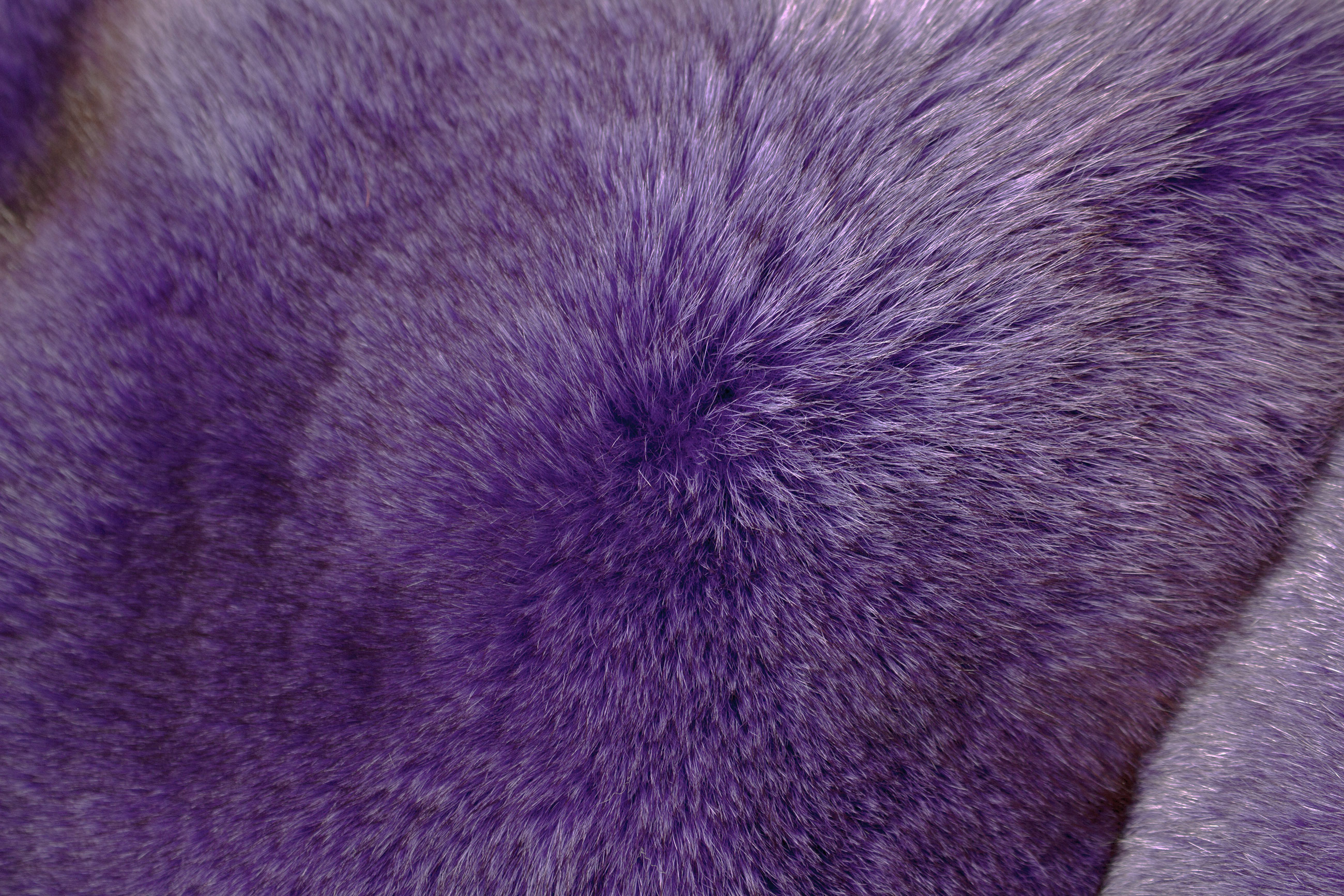 Pelz Kissen aus lila Blaufuchs Fellen - Echtpelz