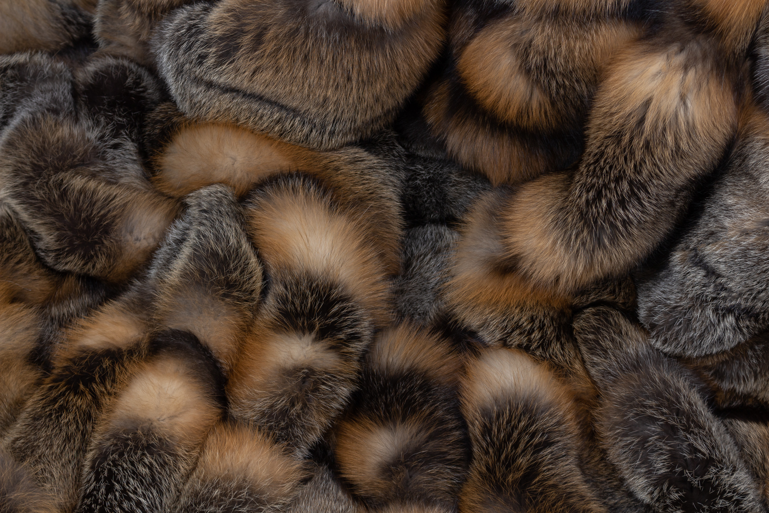 7-1879-Kanadische-Wild-Cross-Fuchs-Felldecke-Echtpelz-Lars-Paustian Große Kanadische Wild Cross Fuchs Felldecke