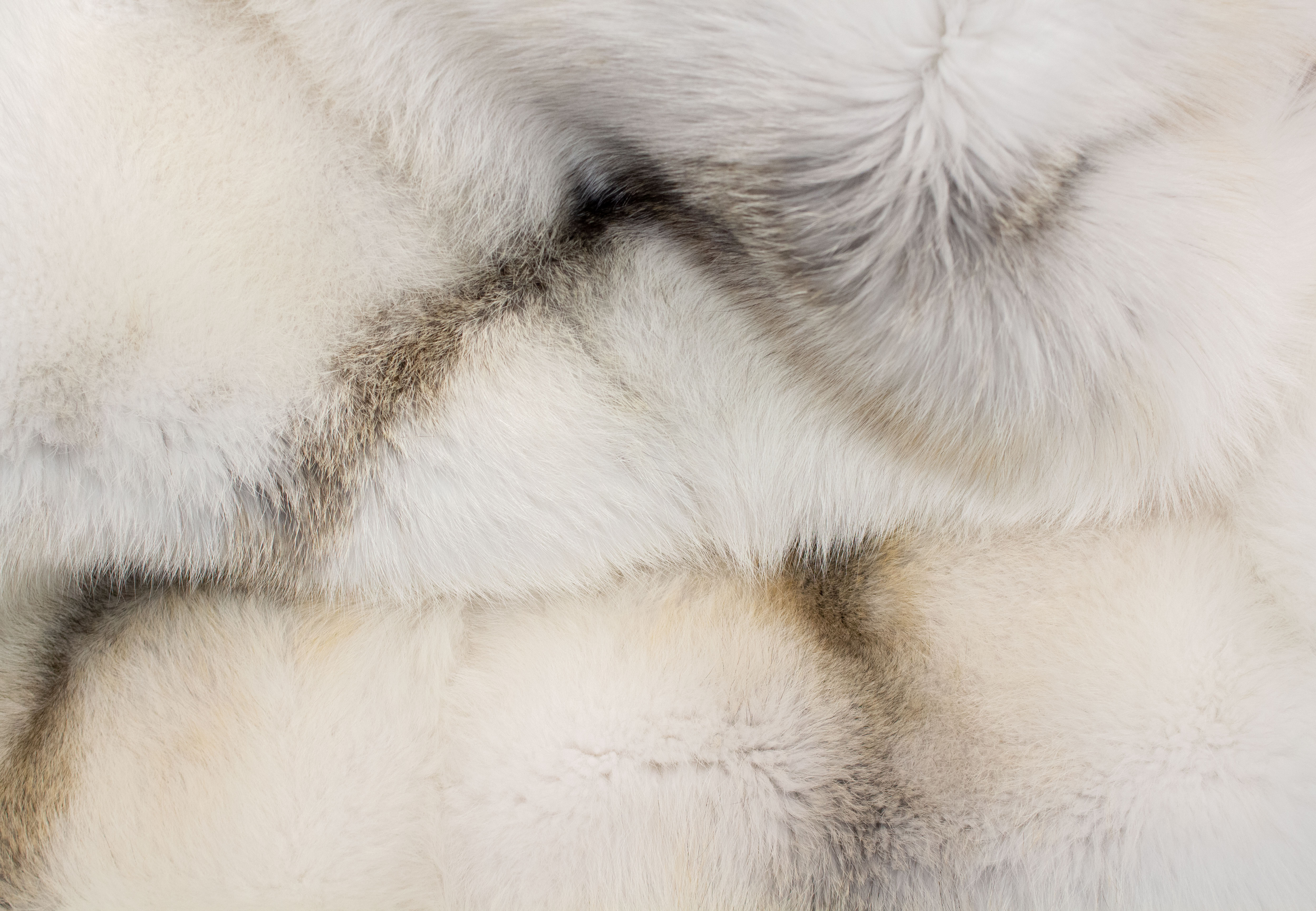 Felldecke aus SAGA Arctic Golden Island Füchsen