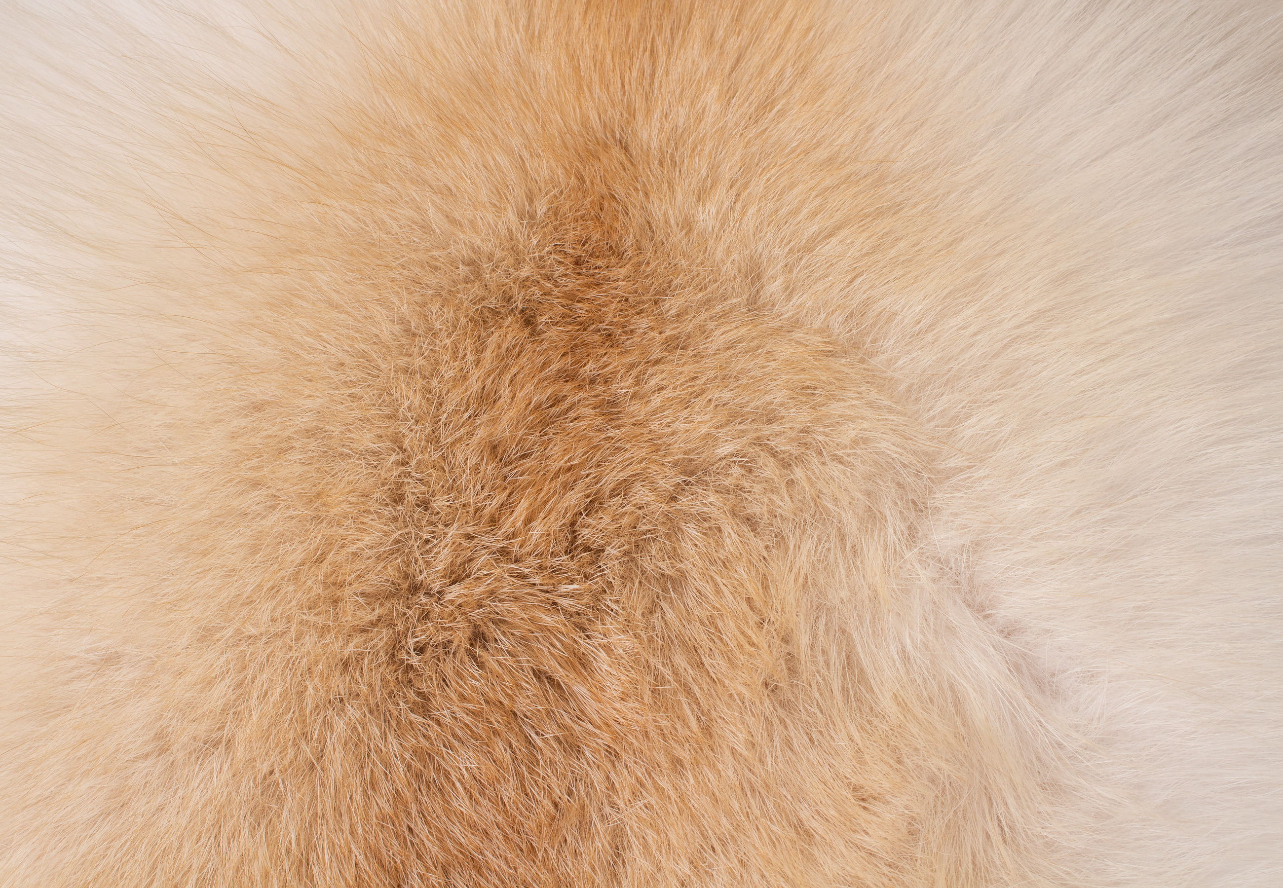 Edles Pelzkissen aus Apricot Fuchs