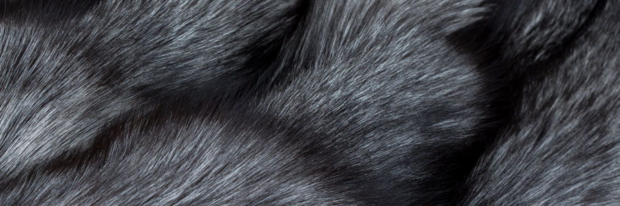 zuchtware-category-banner zuchtware-category-banner