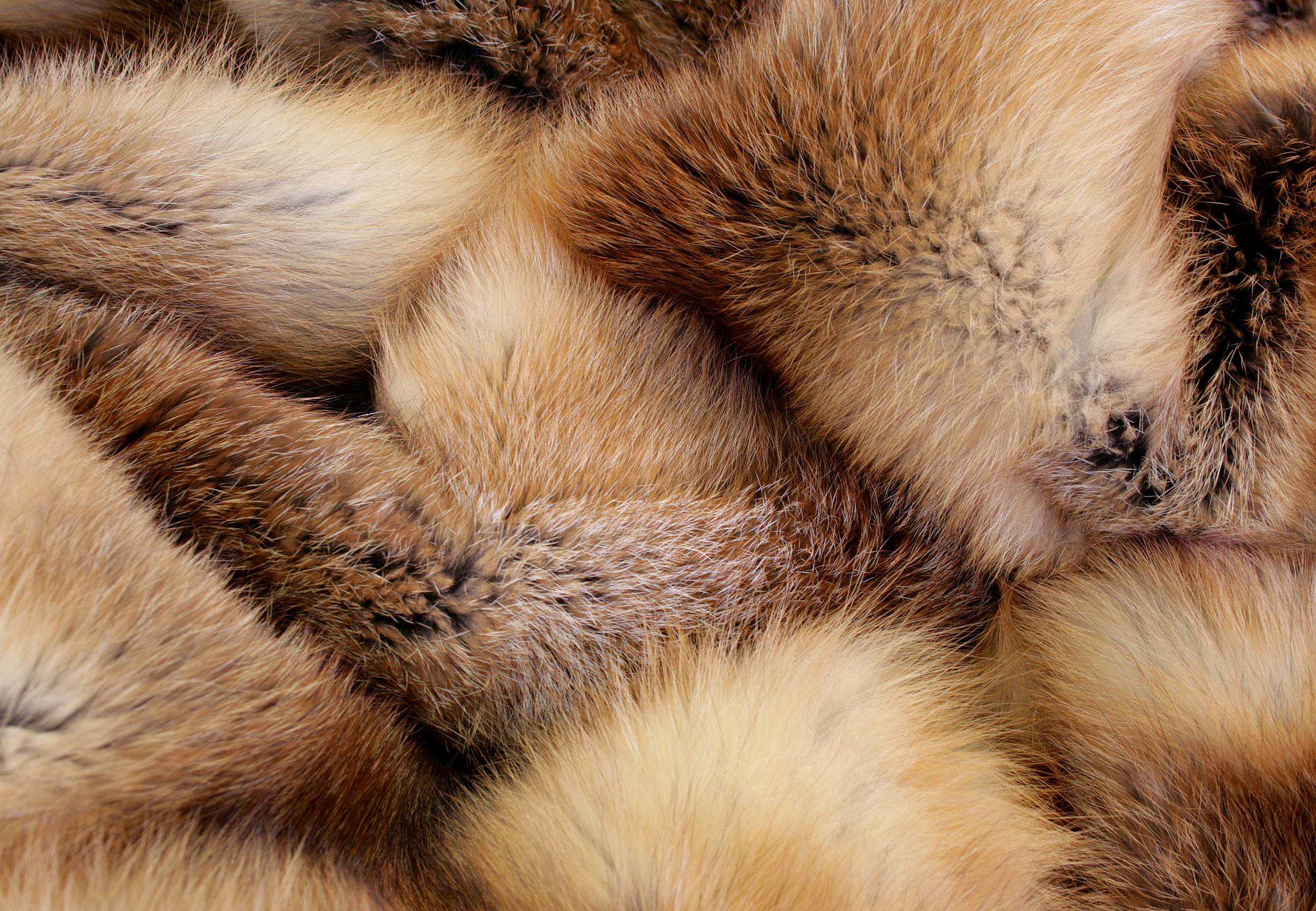 4-rotfuchs-felldecke-detail582c892dc48fd Felldecke aus europäischem Rotfuchs "Almflair"