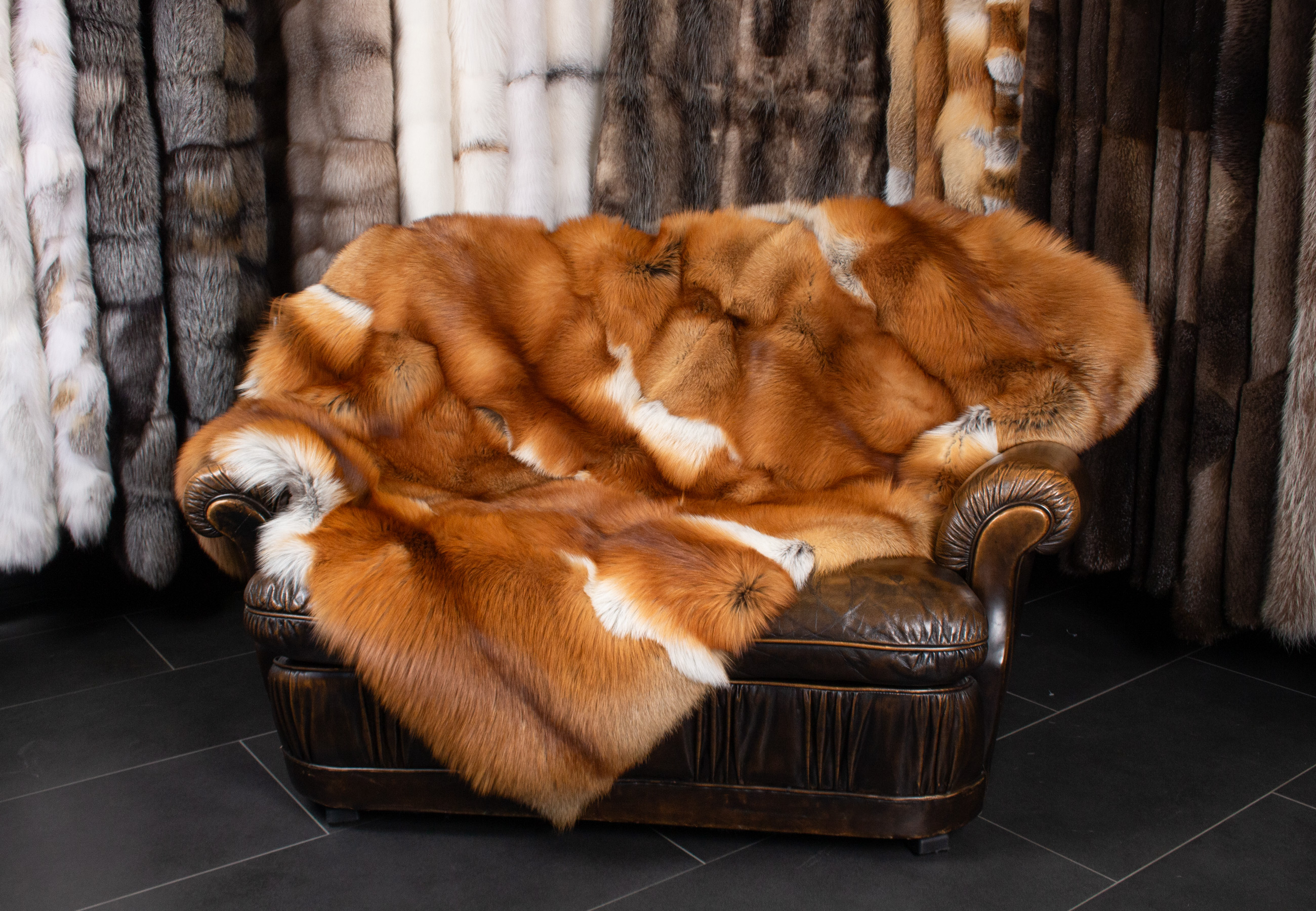 Gold Fuchs Felldecke Gold Fuchs Felldecke