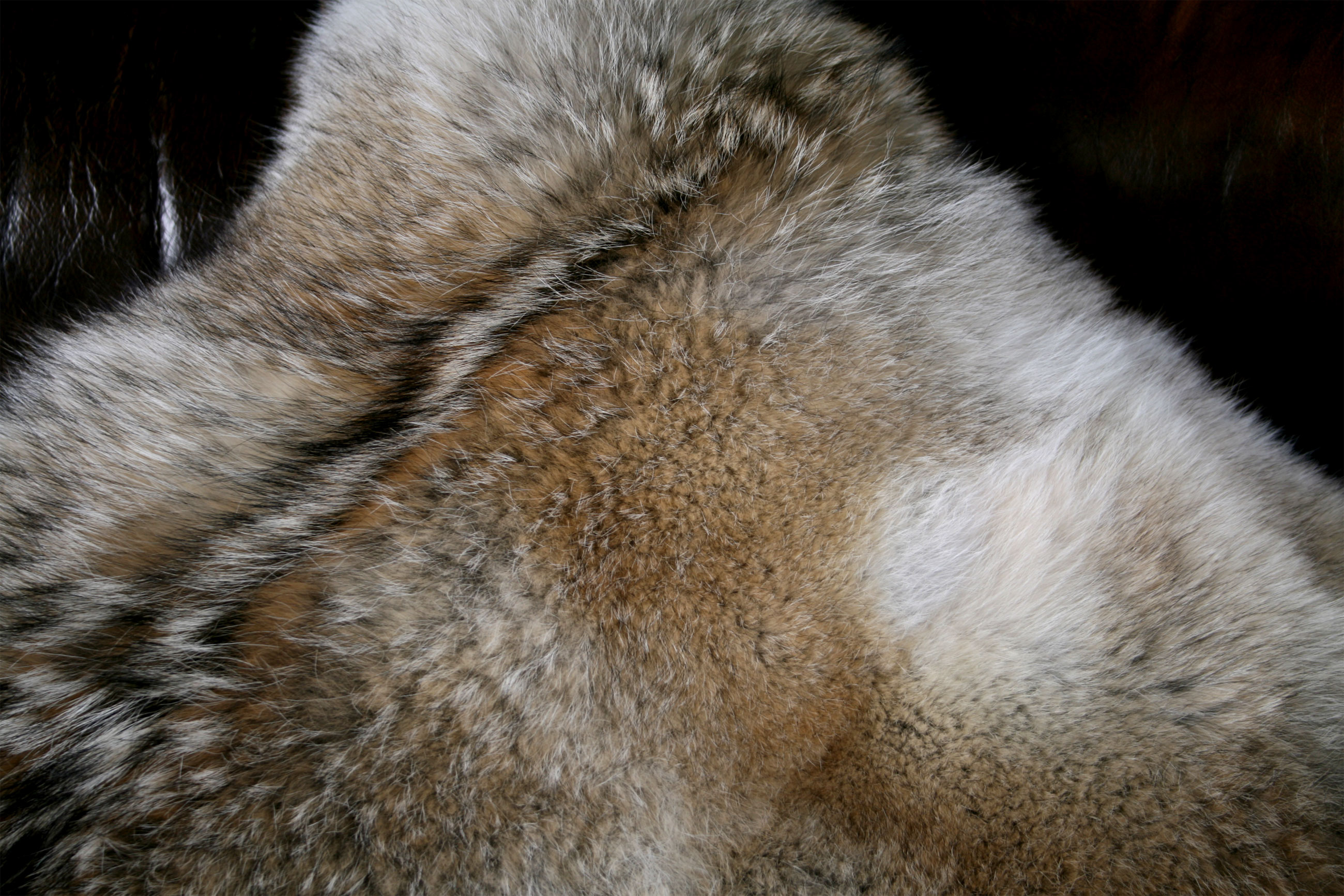 Kojotenkissen-Detail5a09beb539ef7 Kanadisches Kojoten Pelzkissen (Fur Harvesters)