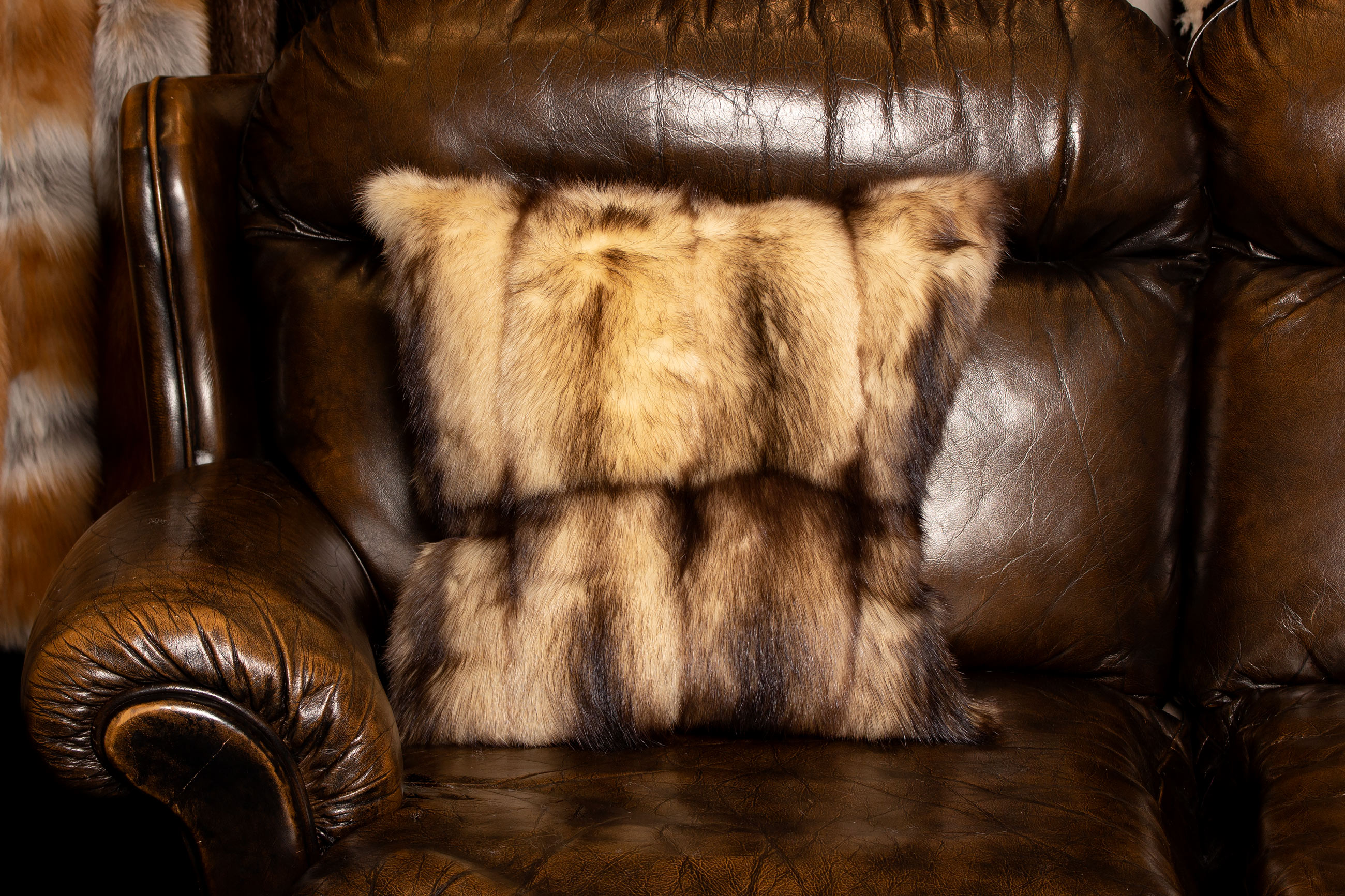 3-2462-helles-Iltis-Pelz-Kissen-kanadisches-Echtfell-Lars-Paustian Helles Iltis Pelz Kissen aus kanadischem Echtfell - Doppelseitig Fell