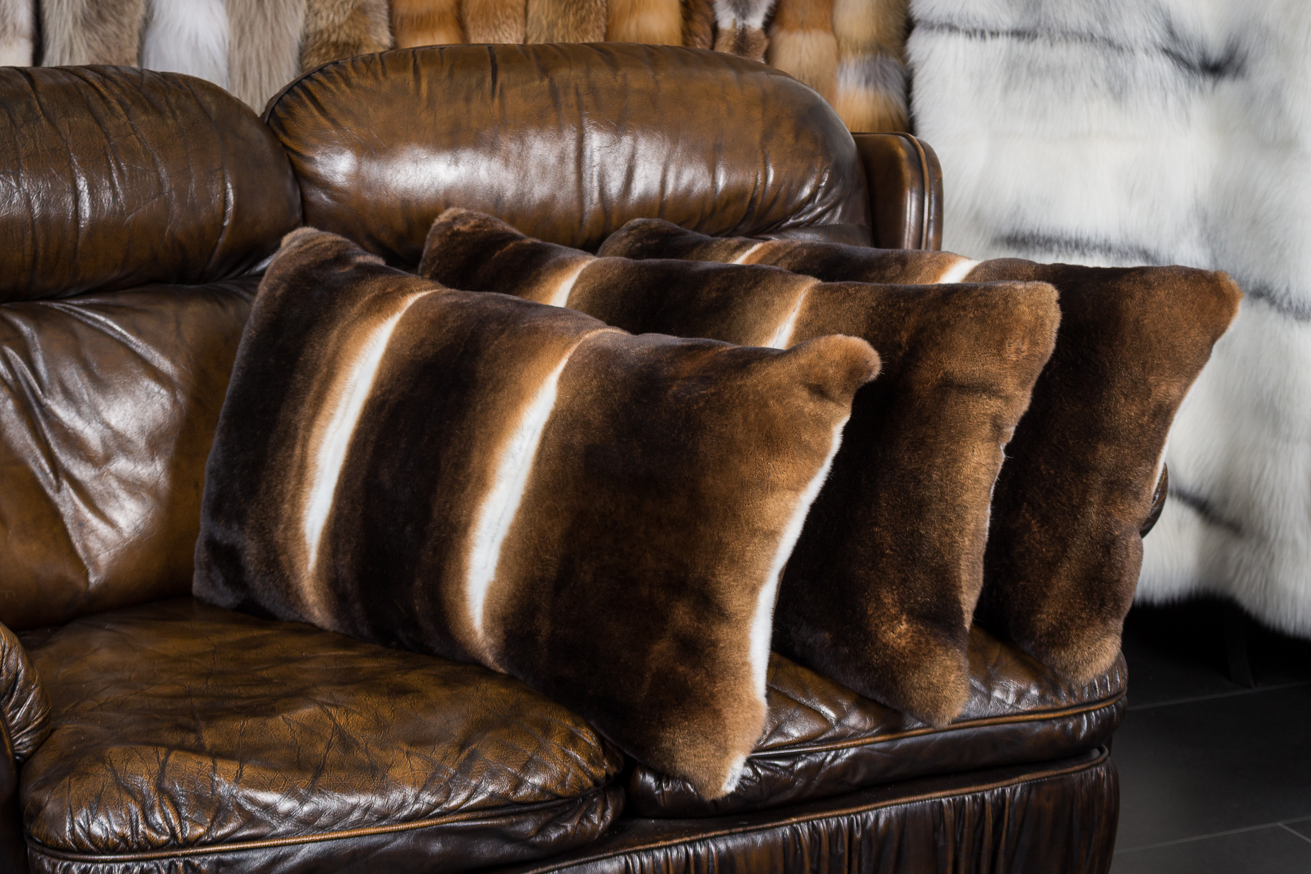 2-7671-Kaninchen-Kissen-Castor-Rex-Kanin Kaninchen Kissen aus Castor Rex Kanin