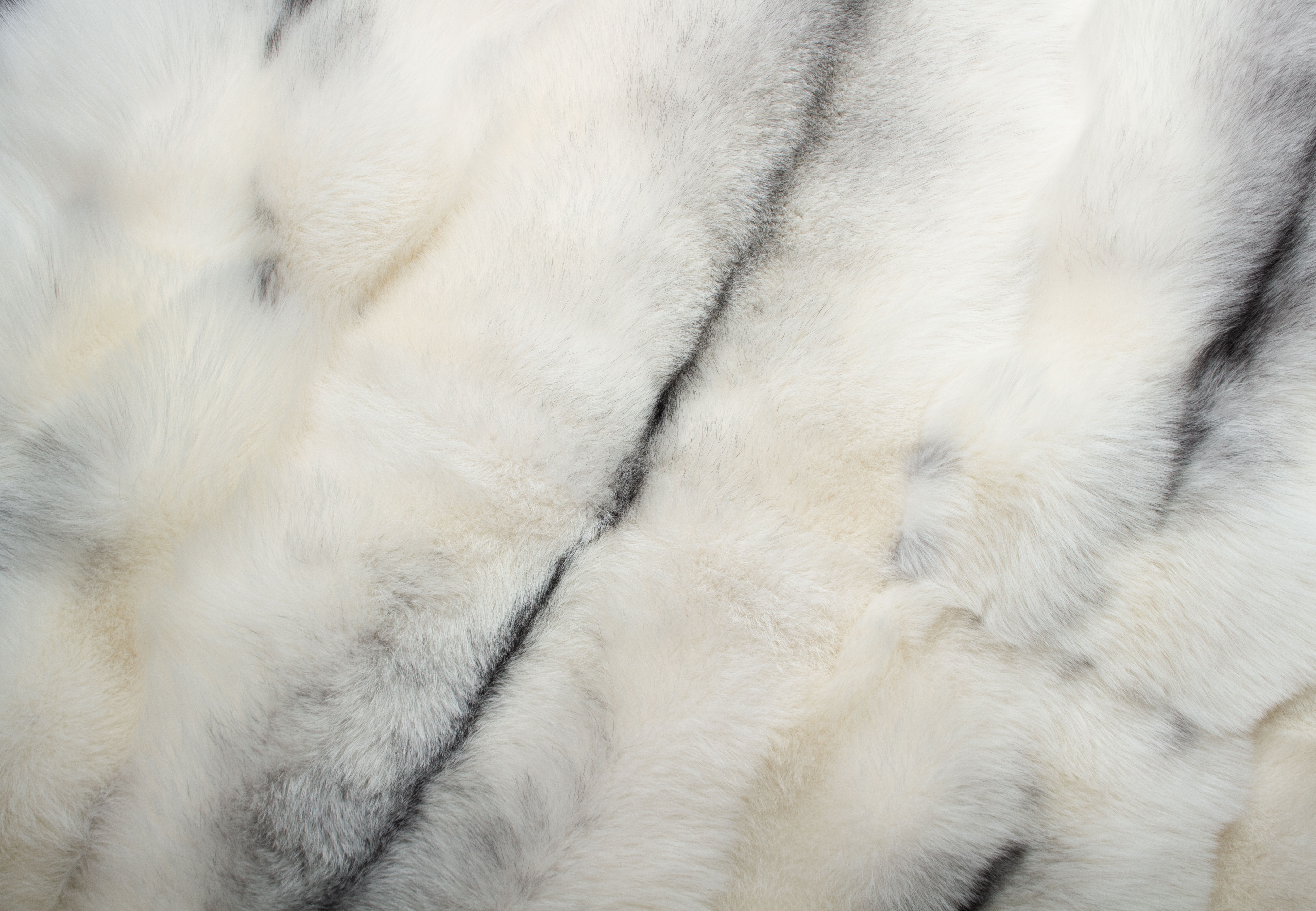 Arctic Marble Frost Fuchs Teppich