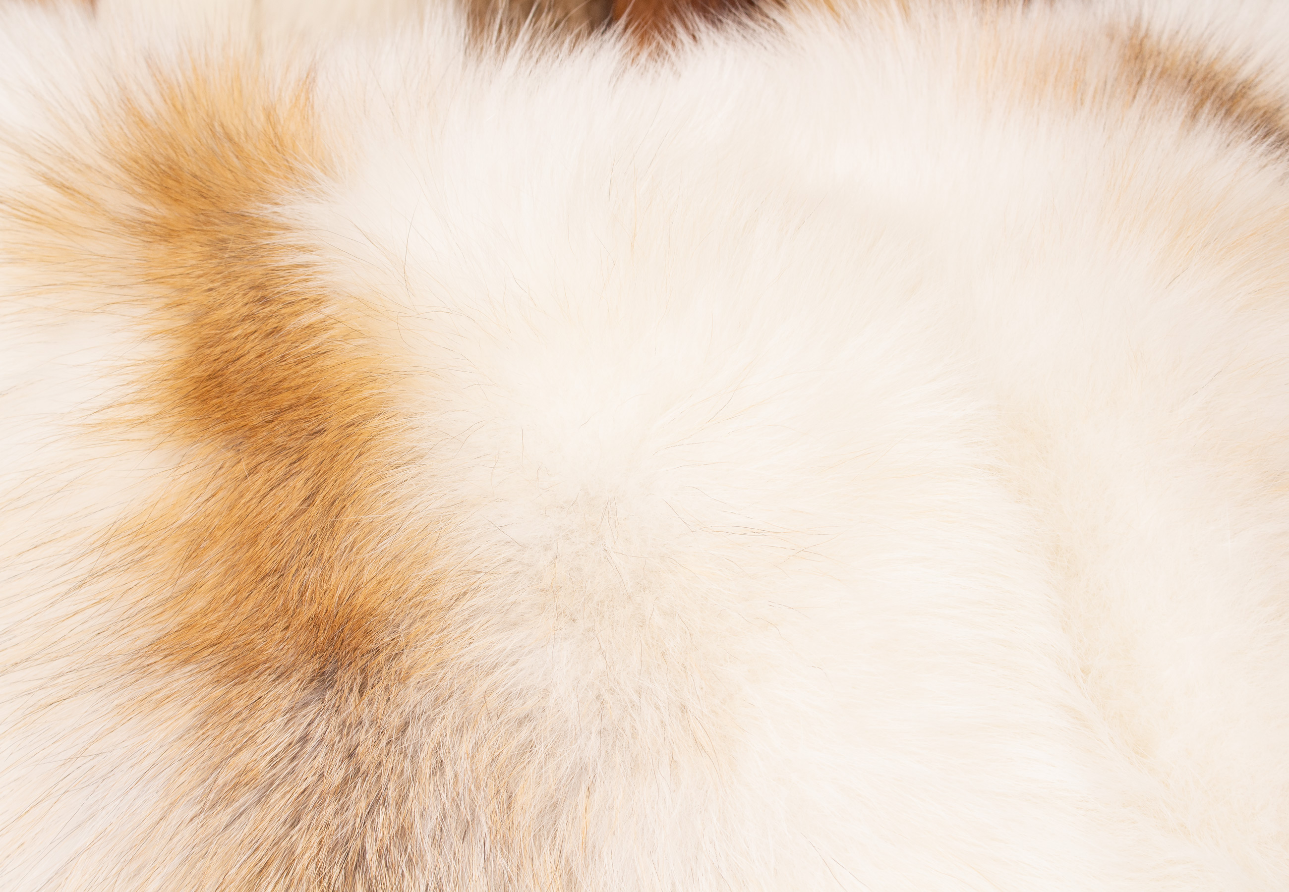 Edles Sun Glo Pelzkissen Edles Sun Glo Pelzkissen