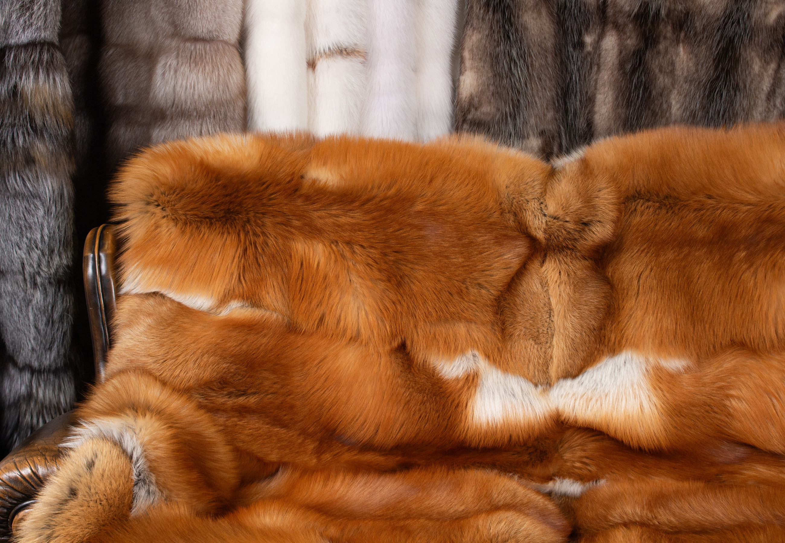 Gold Fuchs Felldecke