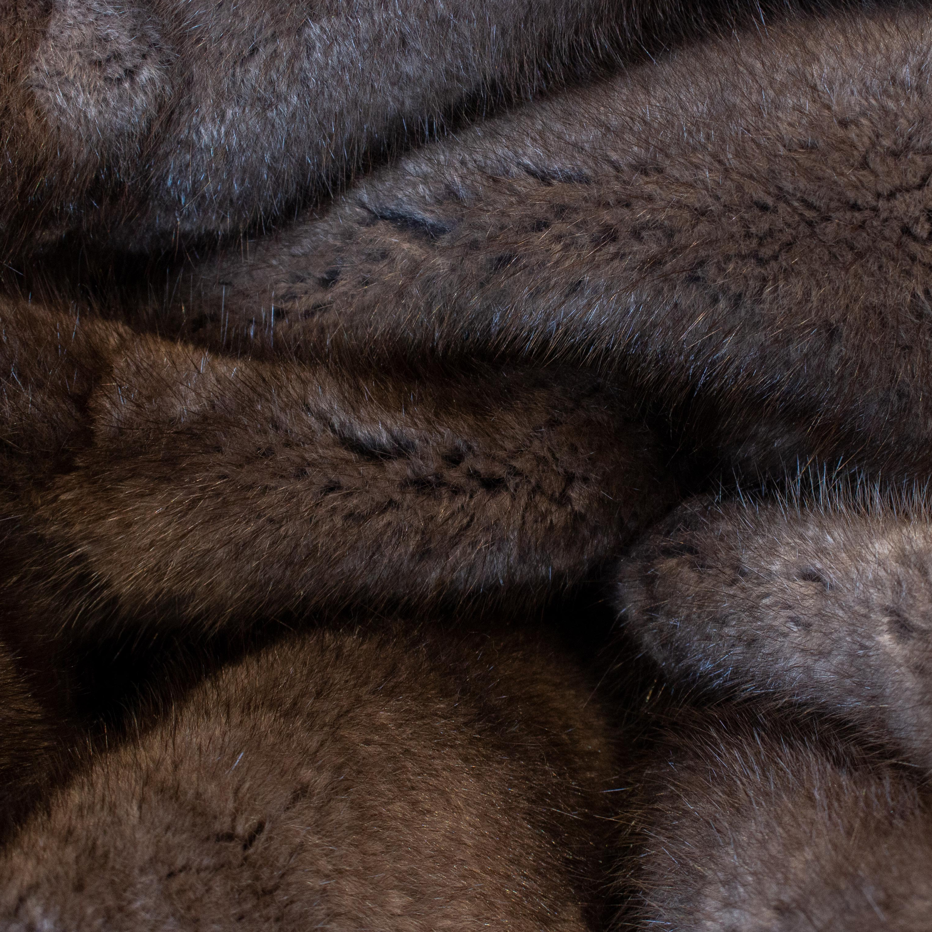 Kategoriebild-Bisam-500x500 Kategoriebild-Bisam-500x500