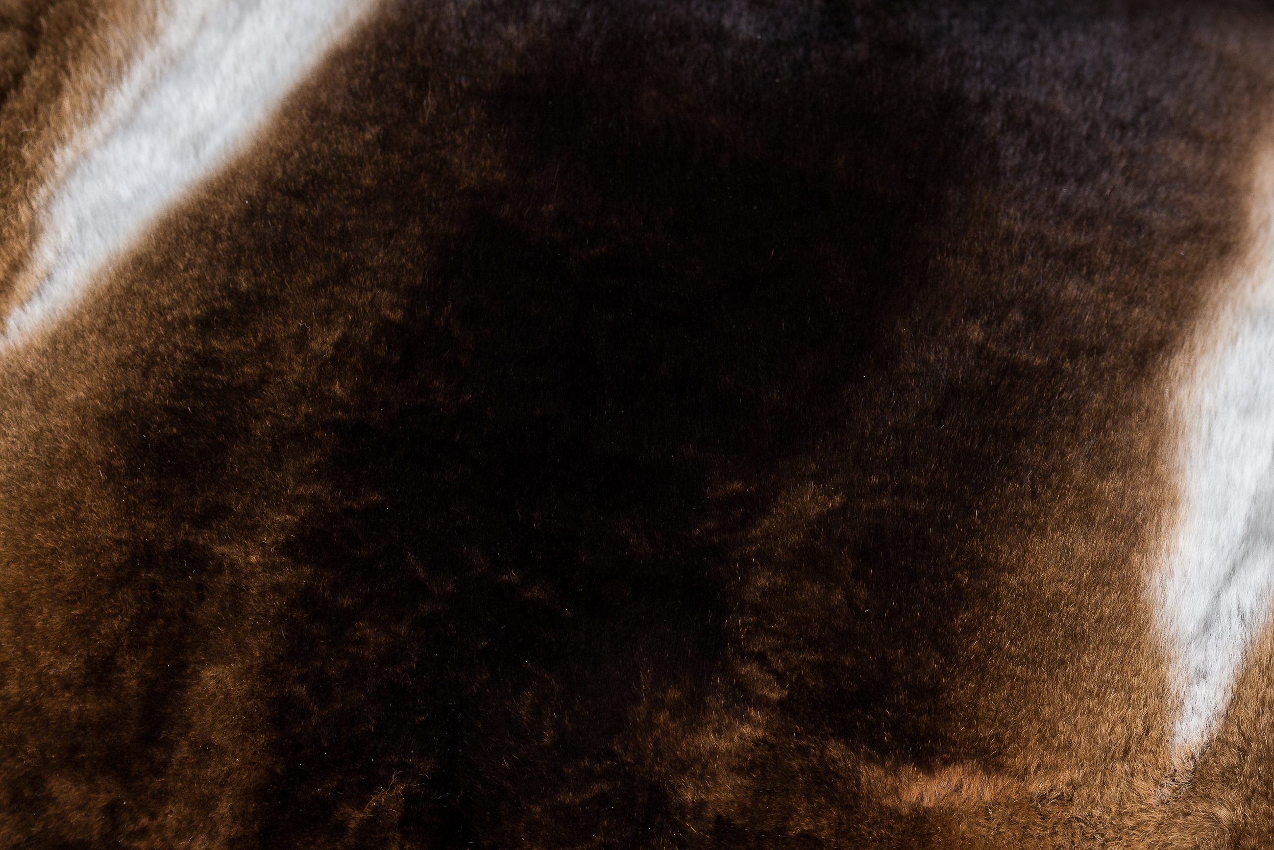 11-7671-Kaninchen-Kissen-Castor-Rex-Kanin Kaninchen Kissen aus Castor Rex Kanin