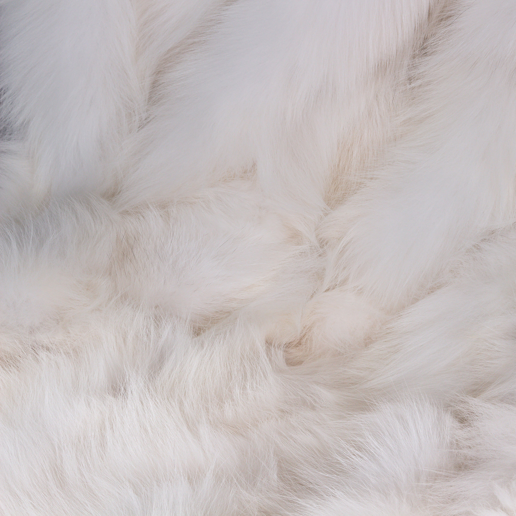 Fuchs_Kategoriebild-Shadowfuchs-500x500 Fuchs_Kategoriebild-Shadowfuchs-500x500