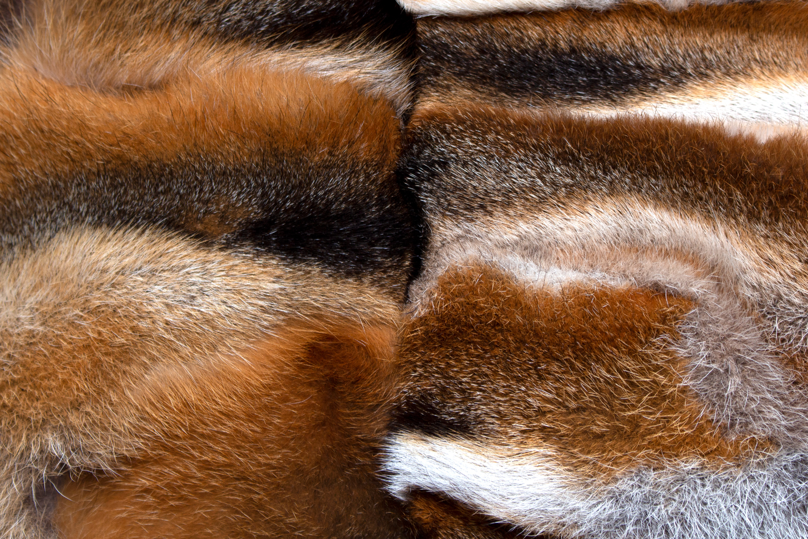 Rotfuchspfoten Fellkissen aus Echtpelz - Beidseitig Fell