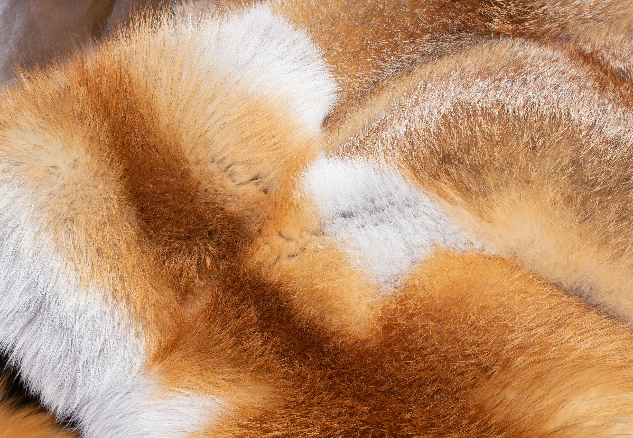 Europäisches Rotfuchs Pelz Plaid
