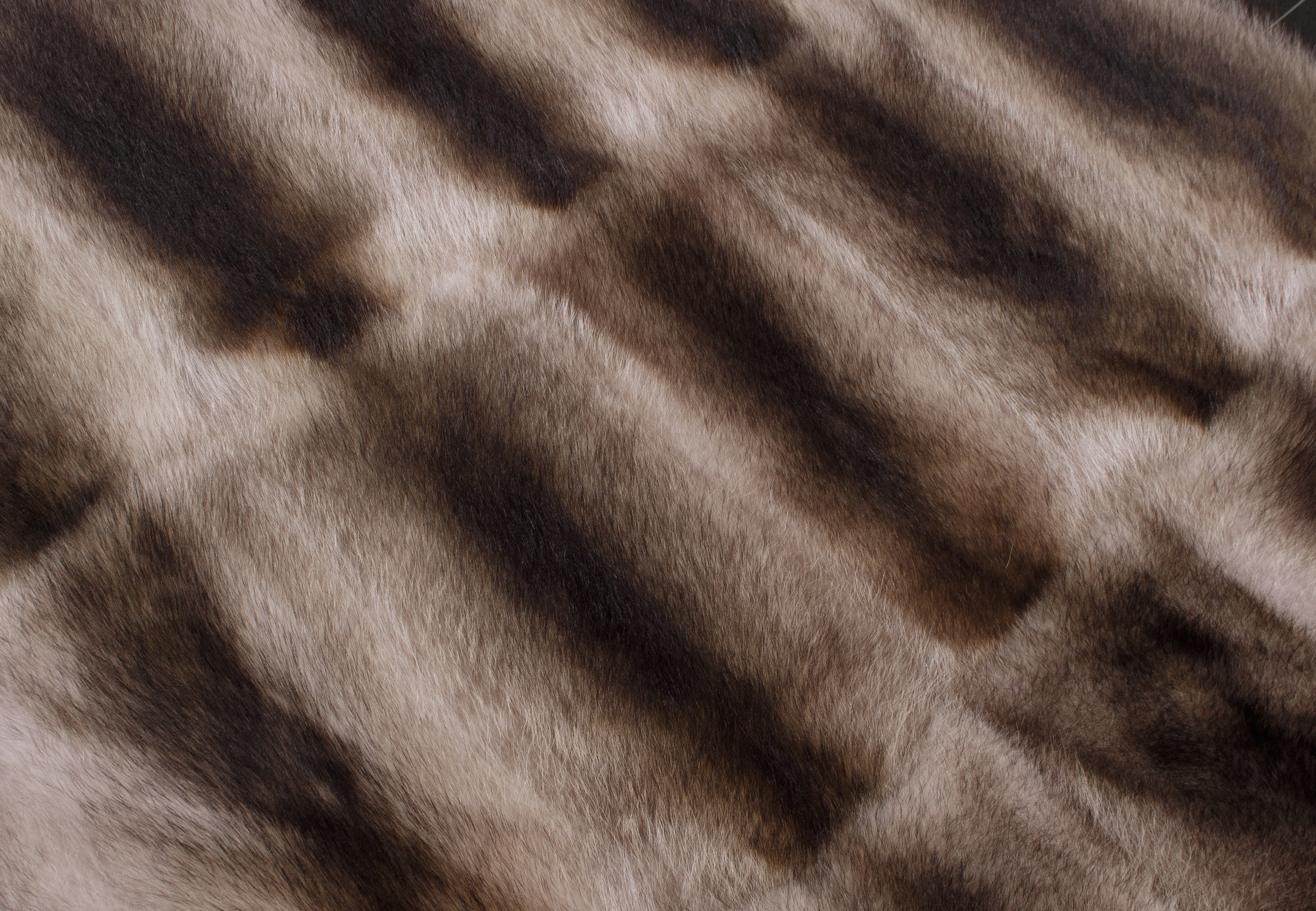 Kanadischer Waschbär Pelzteppich in Beige