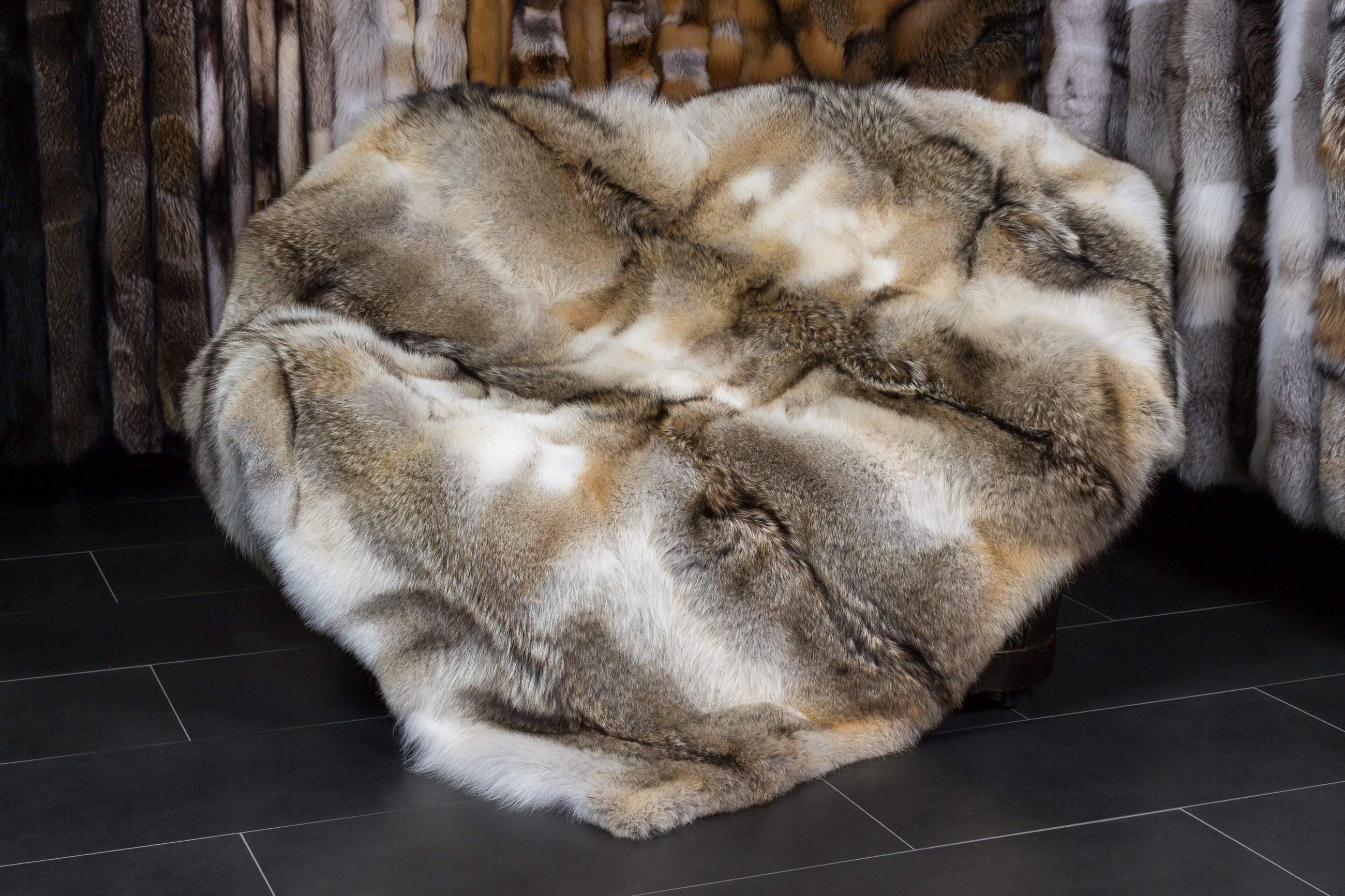 1-7396-Kanadische-Kojoten-Felldecke-Top-Lot-Award-2022-Echtfell Kanadische Kojoten Felldecke - "Top Lot Award"