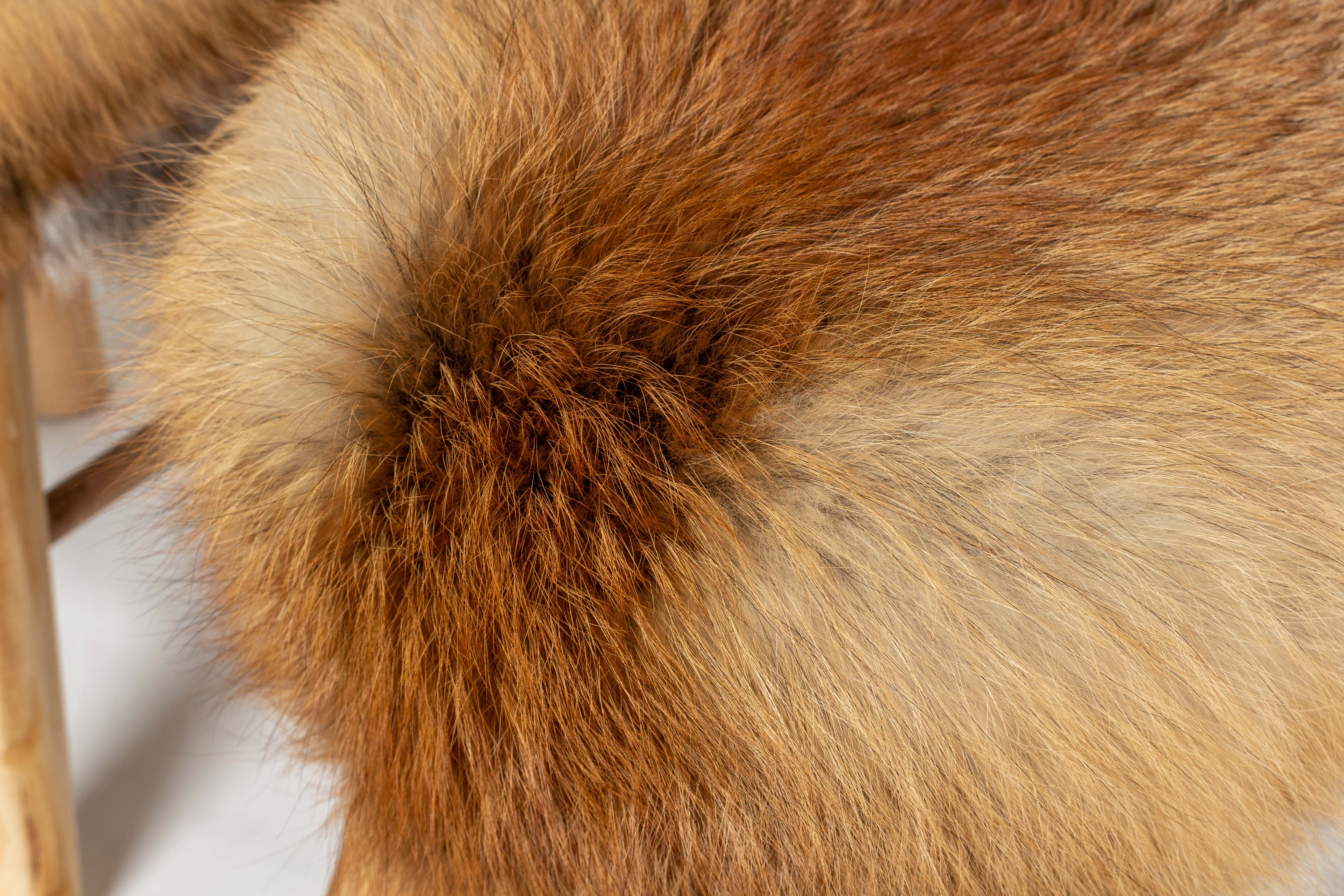 6-9125-Fellhocker-Europaeischen-Rotfuchs-Fuchsweif-Lars-Paustian Fellhocker aus Europäischem Rotfuchs mit Rotfuchs Schweif