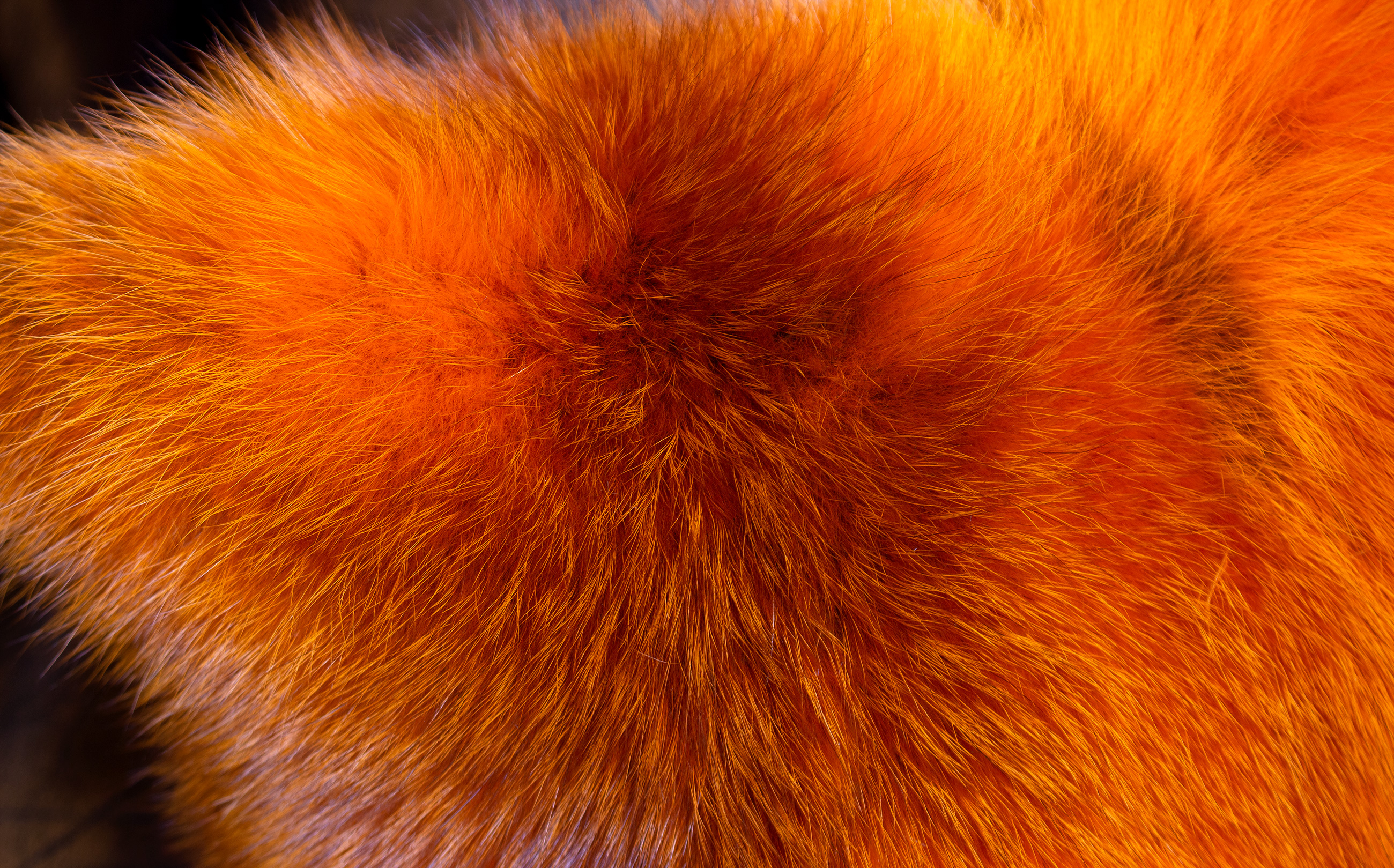 5-3200-kuscheliges-Rotfuchs-Pelzkissen-Orange-Lars-Paustian Edles Rotfuchs Pelzkissen in orange - doppelseitig Fell