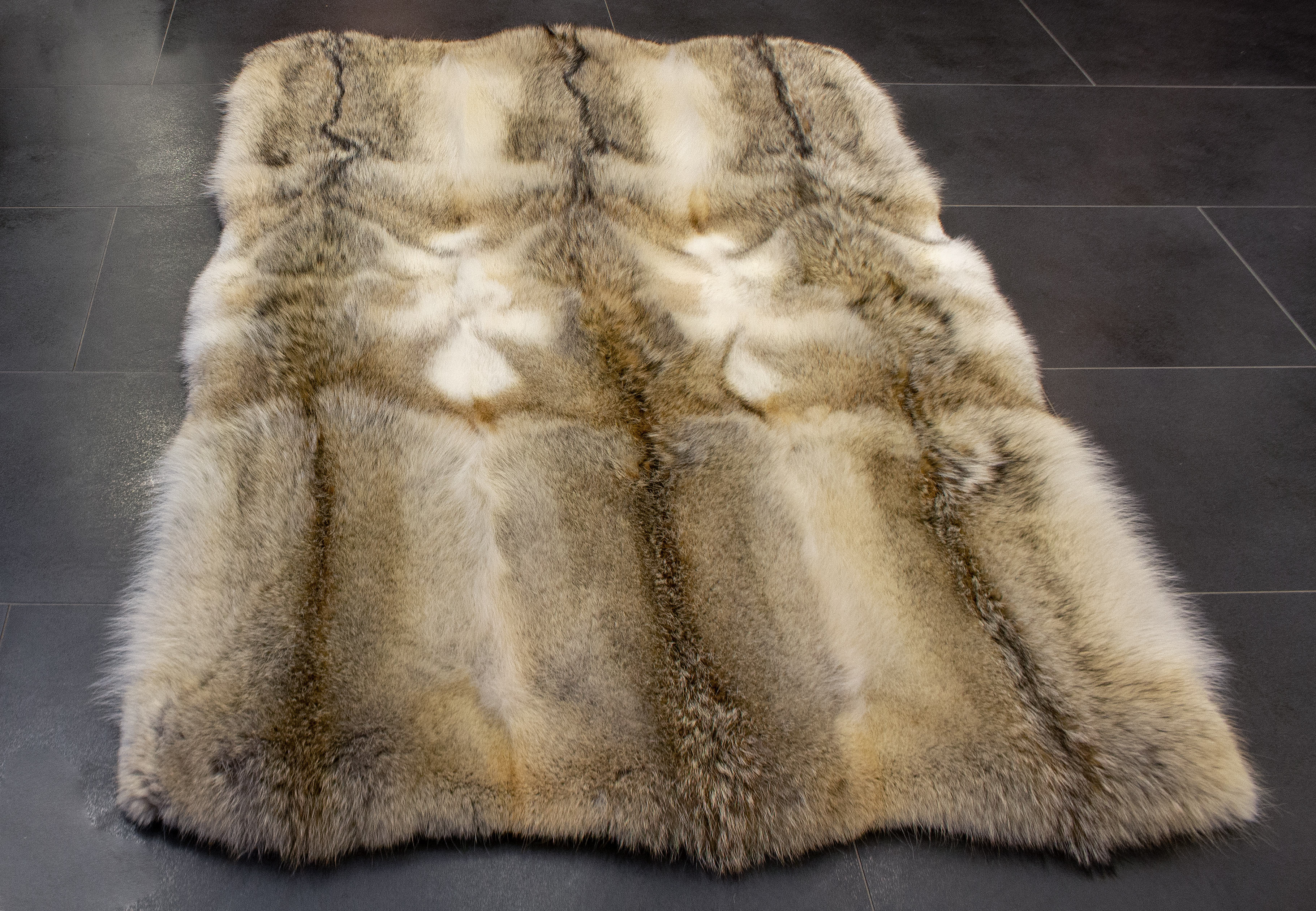 2-4904-Fellteppich-Kanadische-Kojotenfelle-Echtfell Fellteppich aus kanadischen Kojotenfellen
