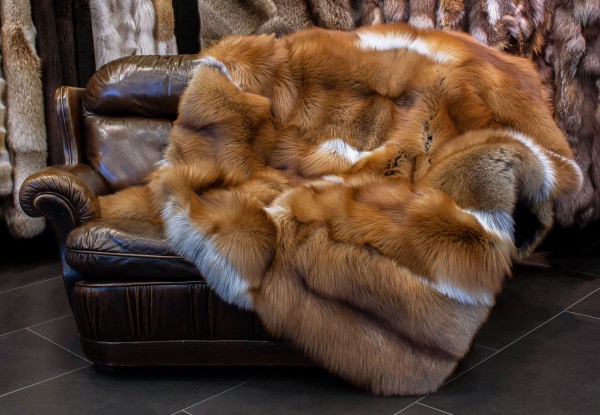 Gold Fuchs Felldecke Gold Fuchs Felldecke