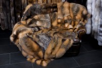 Wild Cross Fuchsdecke - Fur Harvesters