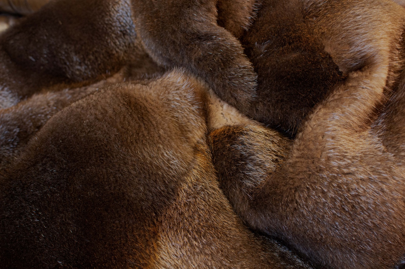 3222 Large Canadian Beaver Fur Blanket XXL Pelt Throw Genuine Furs